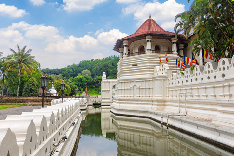 Colombo: 4-day Sri Lanka Full Circle Tour with East Coast Sri Lanka Full Circle 4-day Tour with East Coast