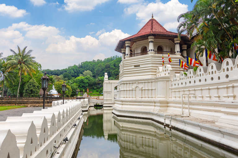 Colombo: 4-day Sri Lanka Full Circle Tour with East Coast Sri Lanka Full Circle 4-day Tour with East Coast