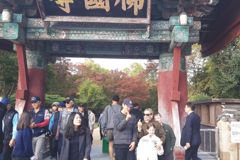 Gyeongju: Ancient Capital Secrets & Hidden Gems Private Tour Small Group Join-in Tour (Max 8 Guests)