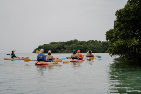 Key West: All Day Eco Tour - Kayak, snorkel and sail!