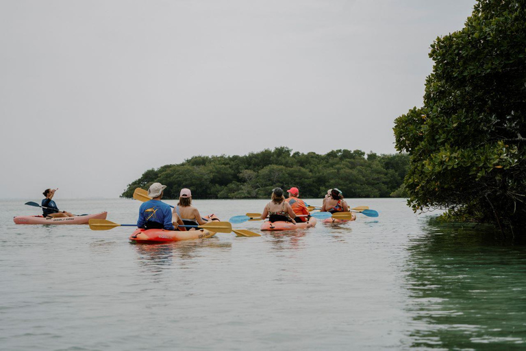 Key West: All Day Eco Tour - Kayak, snorkel and sail!