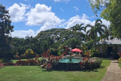 St. Kitts No Hustle No Hassle Private Tour with Don