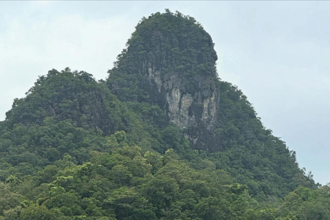 Langkawi: Kilim Geoforest River Cruise with Local Food Tour