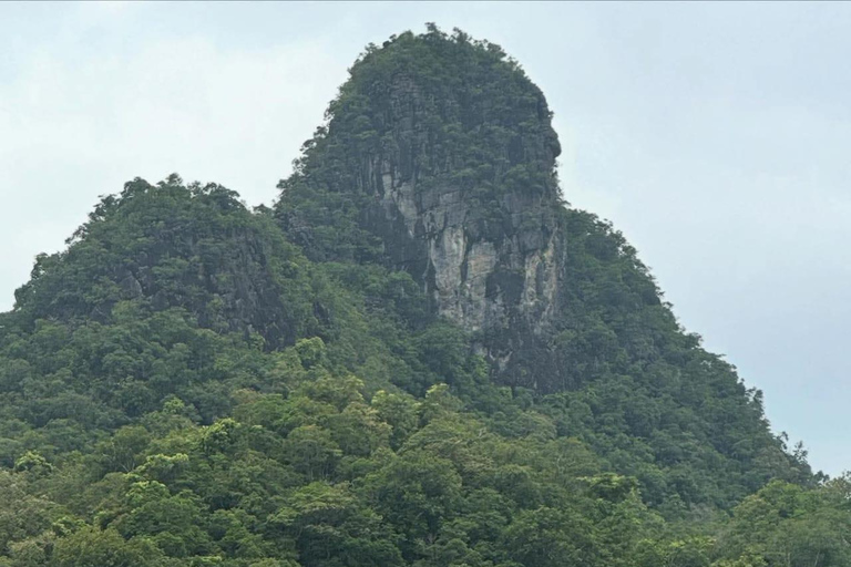 Langkawi: Kilim Geoforest River Cruise with Local Food Tour