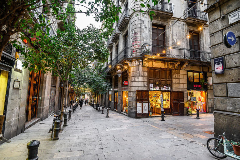 Best of Barcelona: Private Guided Tour with Pick-up