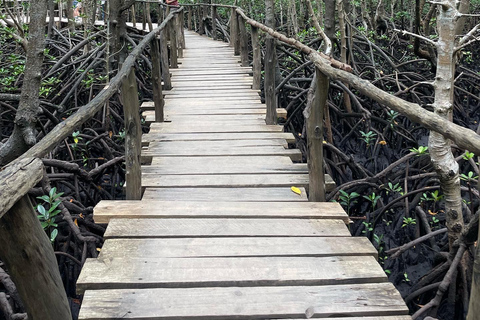 Zanzíbar: Bosque de Jozani para visitar a los monos colubus rojos