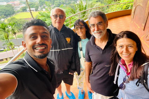 Kandy : Nanu Oya - Ella Train Ride With Private Car & Guide