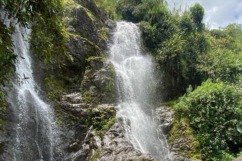 De Medellín: Visita ao café Jardín, passeio a cavalo opcional