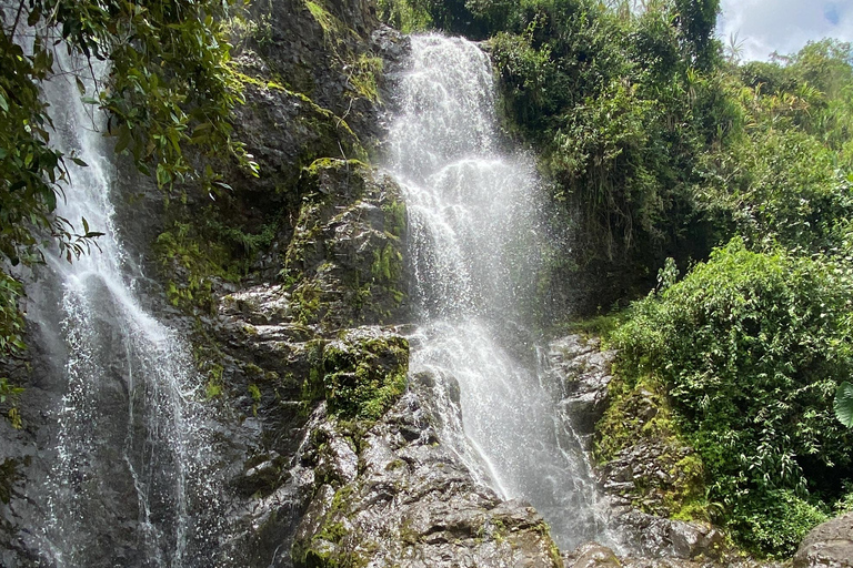 Z Medellín: Wycieczka po Jardín Coffee, opcjonalnie jazda konna