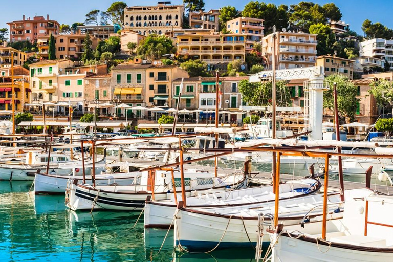 Mallorca: Puerto de Sóller and Valldemossa Morning Trip