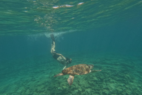 Paphos: Observação de tartarugas com snorkel Passeio de scooter marítimo