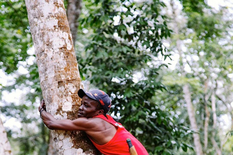 ZANZIBAR: Spice Farm, Jozani Forest, & Relax in Mtende beach Private Tour With Hotel Pickup and drop-off off included