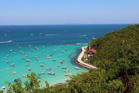 Tour di Coral Island in motoscafo con pranzo indiano