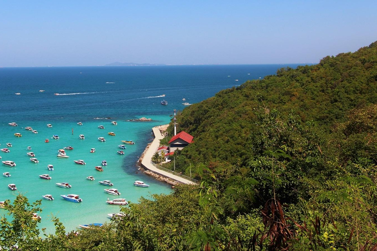 Tour di Coral Island in motoscafo con pranzo indiano