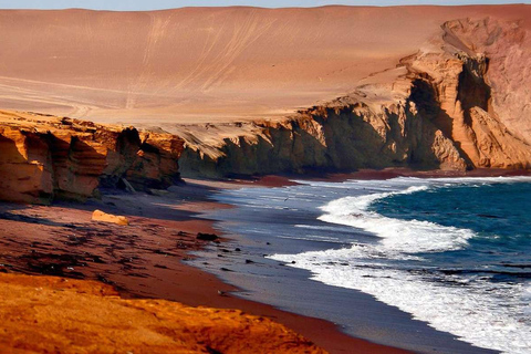 Dia inteiro nas ilhas Paracas e Ballestas