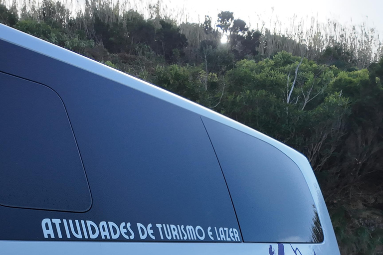 Faial Island Guided Eco Van Tour Half Day Shared Eco Tour