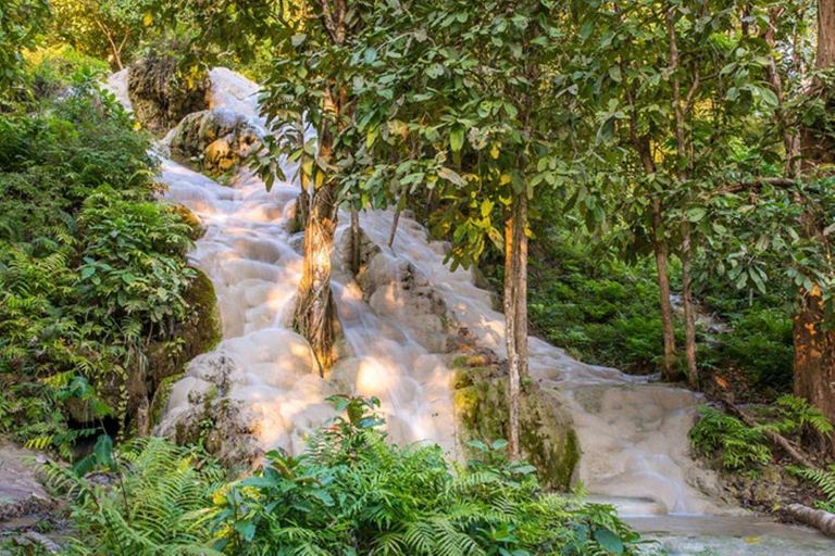 Temple de Doi Suthep, ferme d&#039;orchidées et cascade de Sticky avec déjeuner