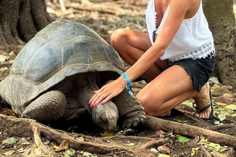 ZANZÍBAR: isla de la Prisión, natación en cuevas y Laguna Azul