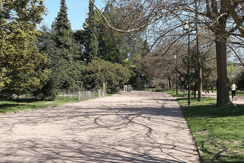 Lyon: Traslado particular e passeio turístico