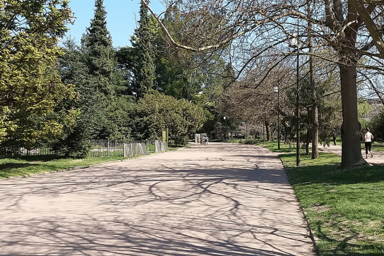 Lyon: Traslado privado y tour turístico