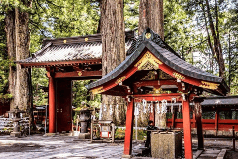 From Tokyo: Nikko Private Full-Day Heritage & Nature Tour