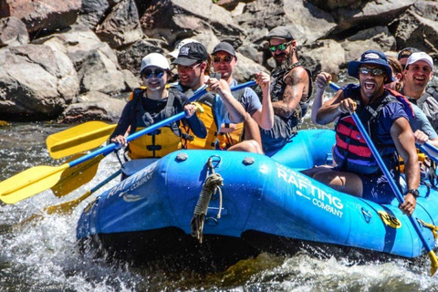 Colorado: Guided Colorado River Rafting Half Day Trip