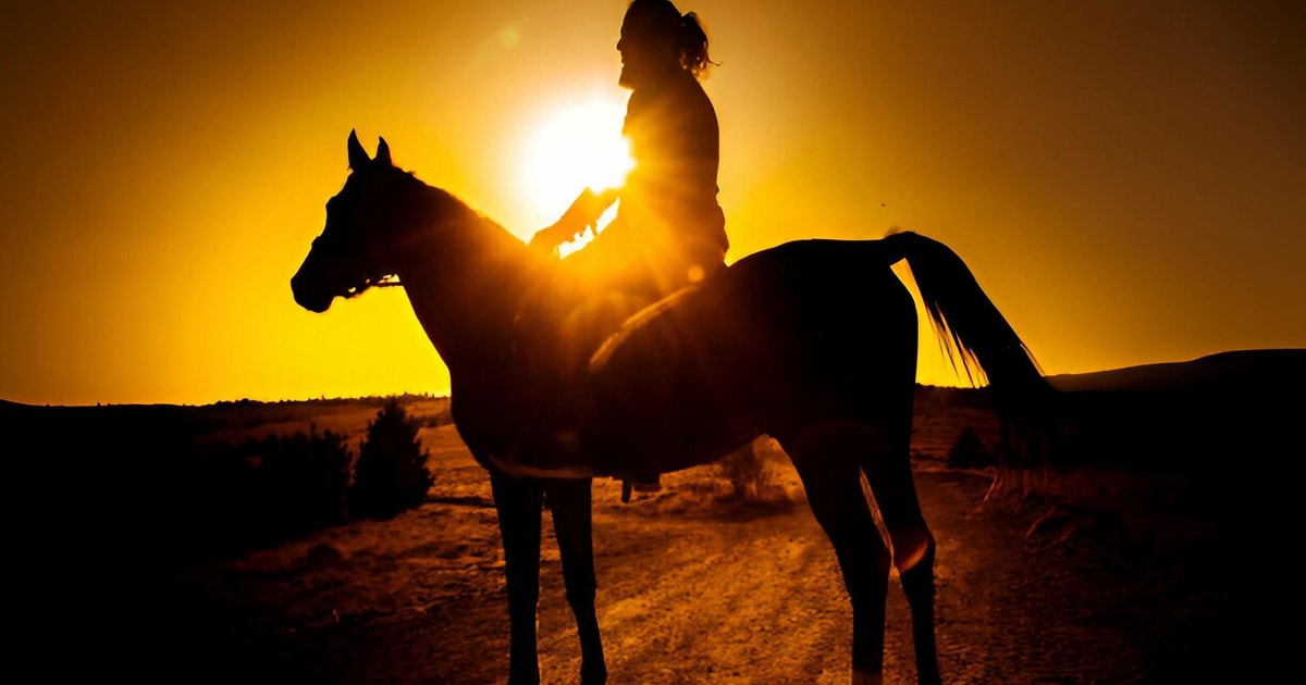 Punta Cana Sunset Horseback Ride in Macao Beach and Forest GetYourGuide