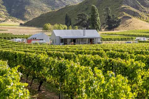 South River Vineyard Wineries In The South Your 2025 Guide To