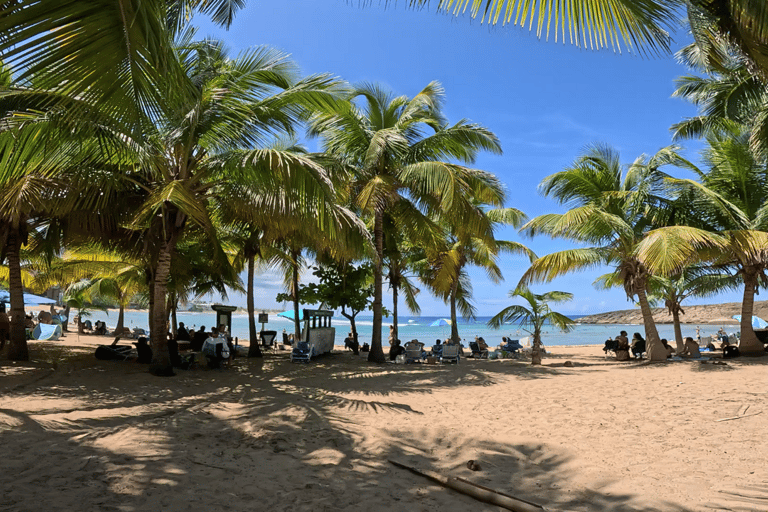 Jobo Beach Turtle Snorkeling Adventure