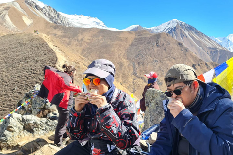 Kathmandu: 8-tägiger Langtang Valley Trek mit Transfers