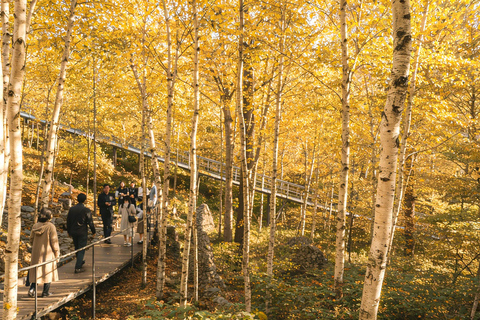 Seoul: Hwadam Forest & Namhansanseong & Korean Folk Village Private Tour (1-8 people Max)