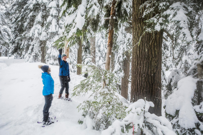 Portland: Mt. Hood Snowshoe Adventure with Lunch