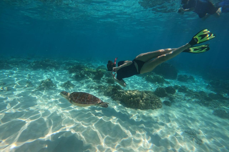 Lombok : Private Snorkeling 4 Spots And See Baby Turtle