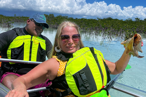 Providenciales Mangrove Kayak Tour With Turtle Sightings