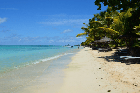 Excursion dans le nord de l&#039;île Maurice avec Port Louis et le jardin botanique