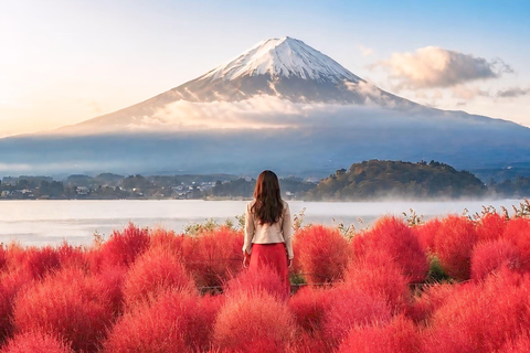 Tokyo: Mount Fuji & Pagoda & Oshino Hakkai & Lake Kawaguchi Route B : Mount Fuji & Hakone Private Customizable Day Trip