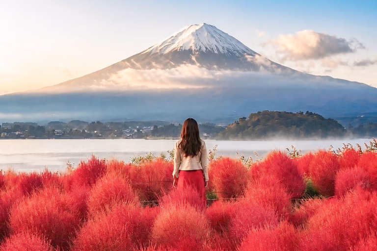 Tokyo: Mount Fuji & Pagoda & Oshino Hakkai & Lake Kawaguchi Route B : Mount Fuji & Hakone Private Customizable Day Trip