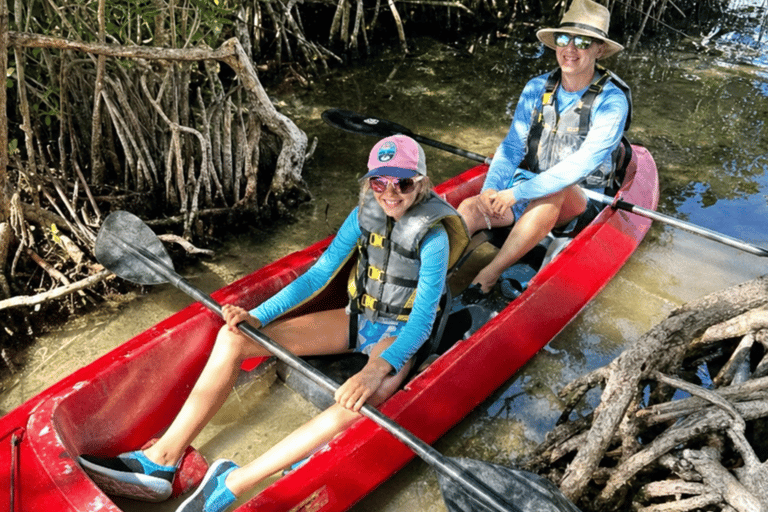 Florida: Indian River Daytime Manatee and Dolphin Kayak Tour Clear Bottom Kayak Day Tour