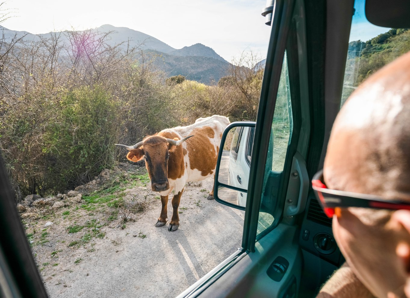 Fra Granada: Sierra Nevada guidet 4x4 tur til 2500 meter