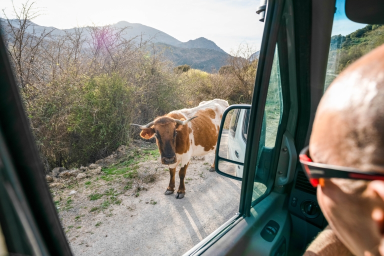 Granada: Sierra Nevada 4WD Safari Small-Group Tour