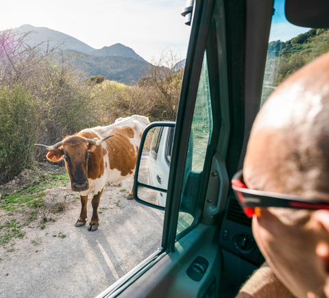 Sightseeing on wheels