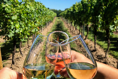 Tour particular à caverna dos pássaros para degustação de vinhos Khor Virap Noravank