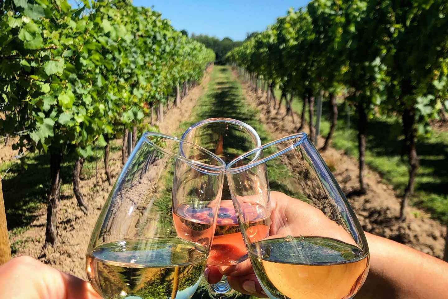 Private tour to Khor Virap Noravank wine tasting birds cave