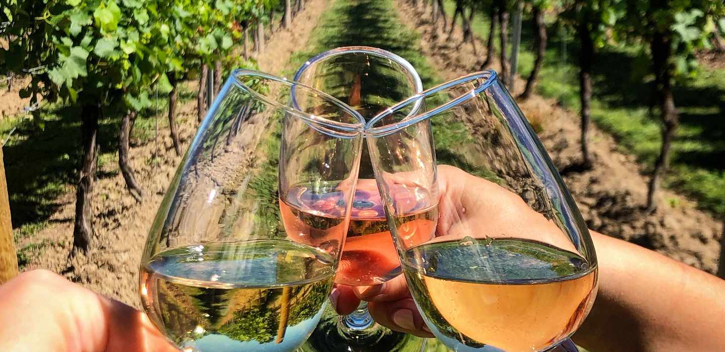 Rom auf dem Land: Wine Tasting Tour mit privatem Fahrer Rom auf dem Land: Wine Tasting Tour mit privatem Fahrer