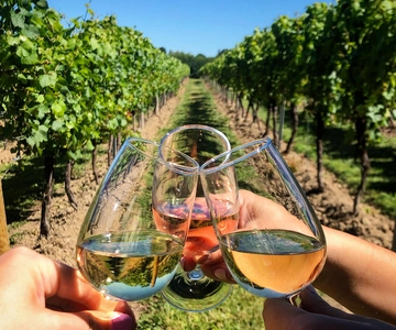 Roma Campiña: Tour de Cata de Vinos con Conductor Privado