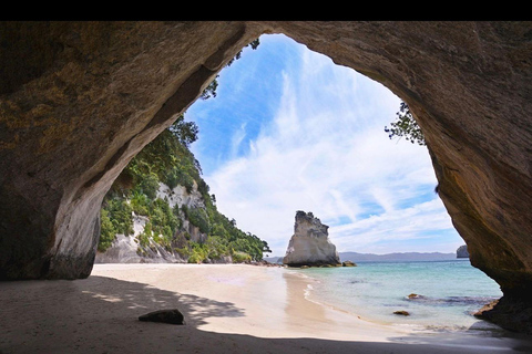 Auckland: Hidden Gem Coromandel& Cathedral Cove Private Day