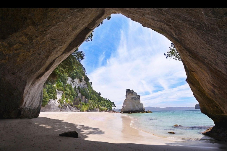 Auckland: Hidden Gem Coromandel& Cathedral Cove Private Day
