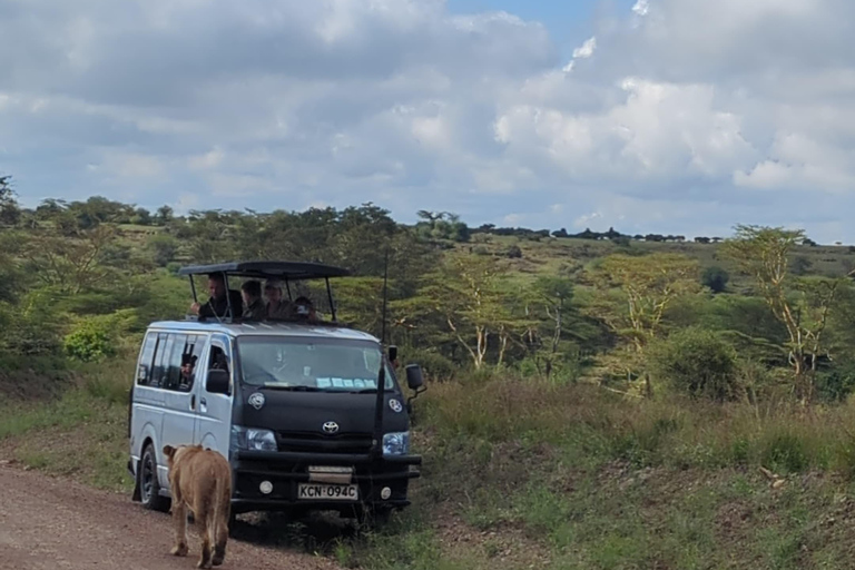 Nairobi Park Safari, Sheldrick's Orphanage & Giraffe Center Shared Drive in Open-Roof Van Game Drive