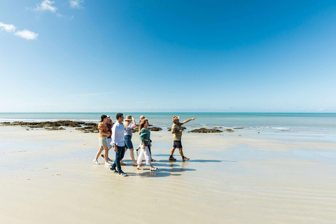 Cairns : Circuit de 2 jours de la Grande Barrière de Corail et de la forêt tropicale de Daintree