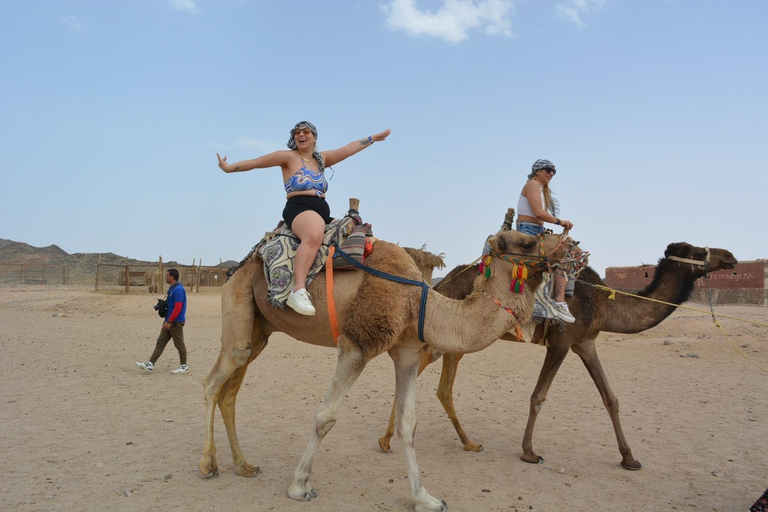 Marsa Alam: Desert Quad Bike, Camel Ride, and Bedouin Tour